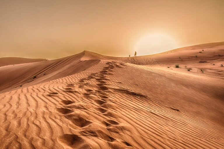 معلومات عن صحراء السعودية وأهم الأنشطة للقيام بها هناك